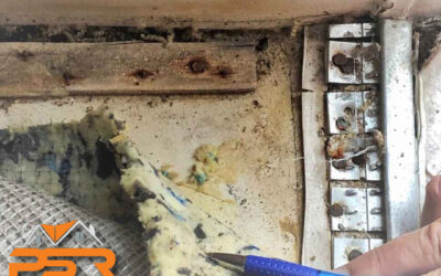 Purpose of mold remediation