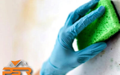 Tips for Controlling Mold