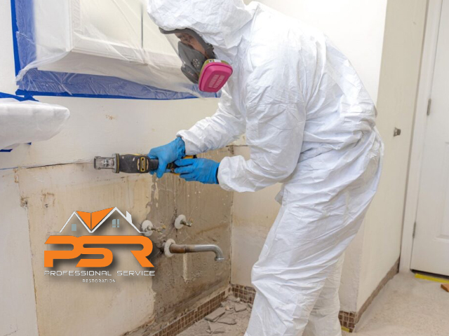 Mold Remediation | Crafting Clean, Healthy Spaces