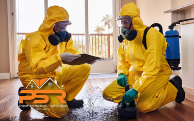 The Importance of Professional Mold Remediation After Water Damage